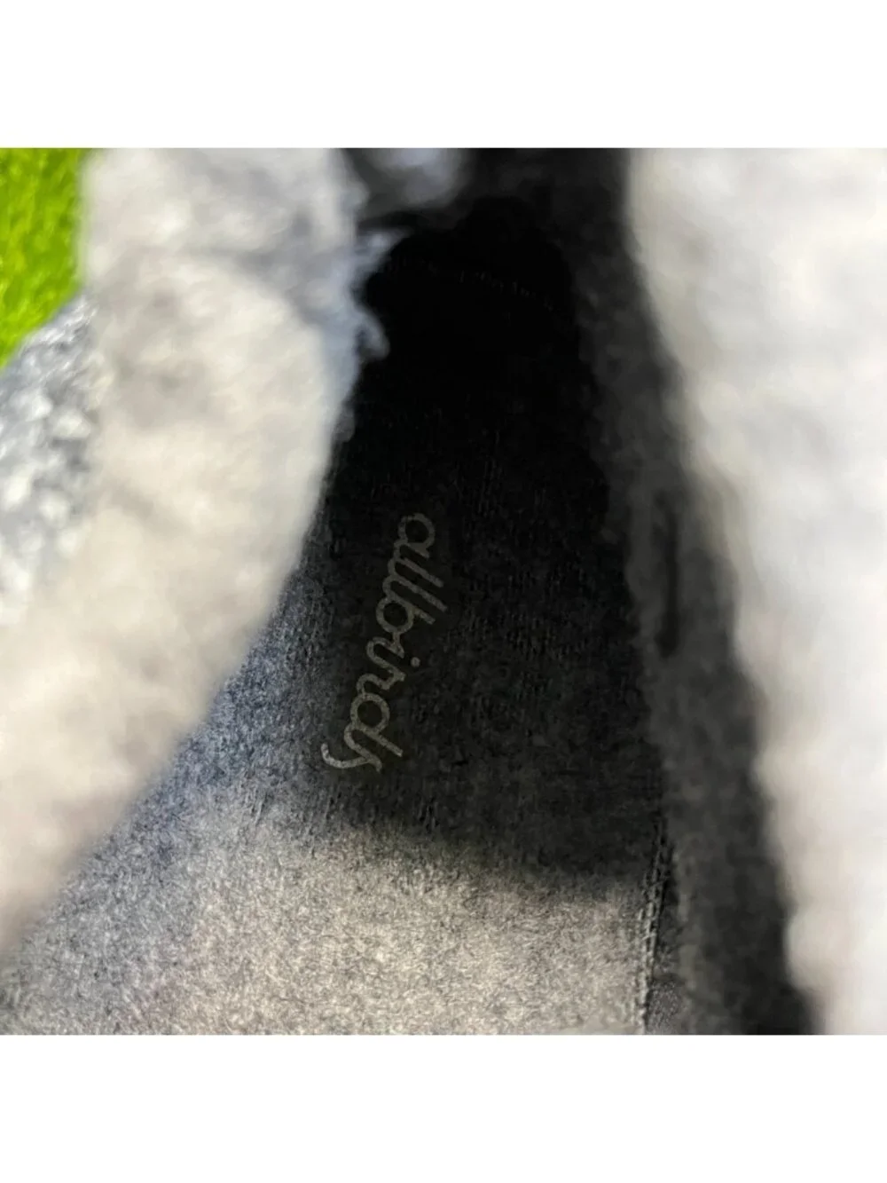 allbirds please review